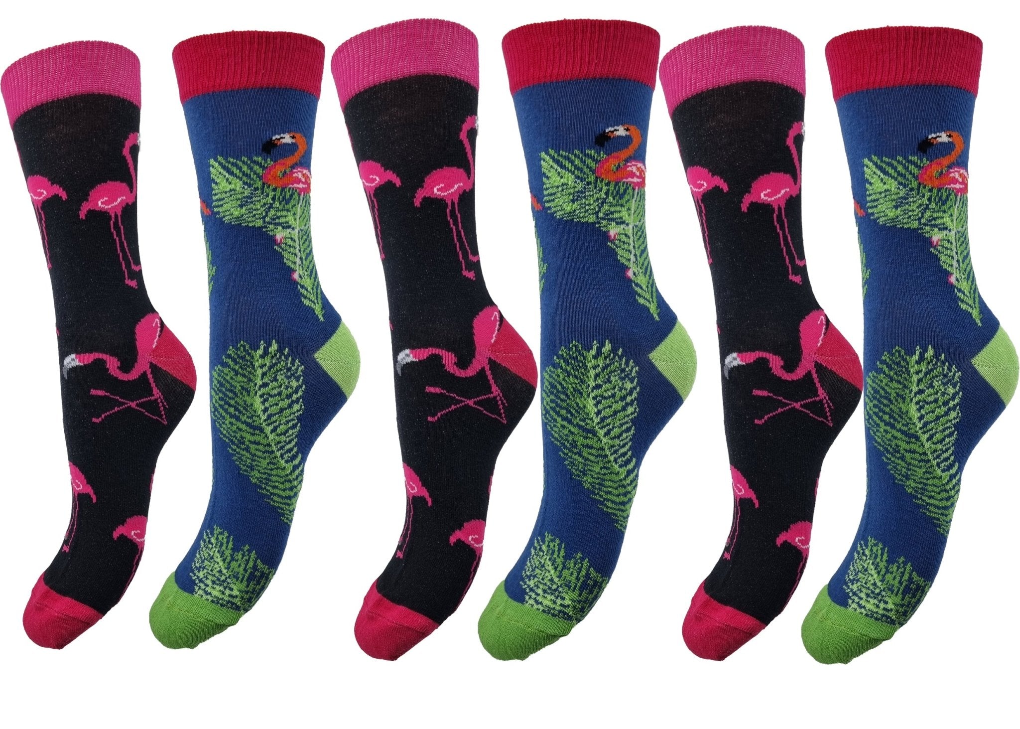 Biobaumwolle Socken in 6er Pack mit "Pelikan Print" - Organicshop24